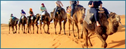 La Gazelle Bleue,Merzouga , Photography and website desigb by Gomarnad Maroc - Marco Prelousqui